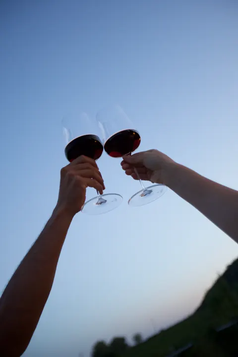 Due calici di rosso si toccano contro il cielo della sera.
